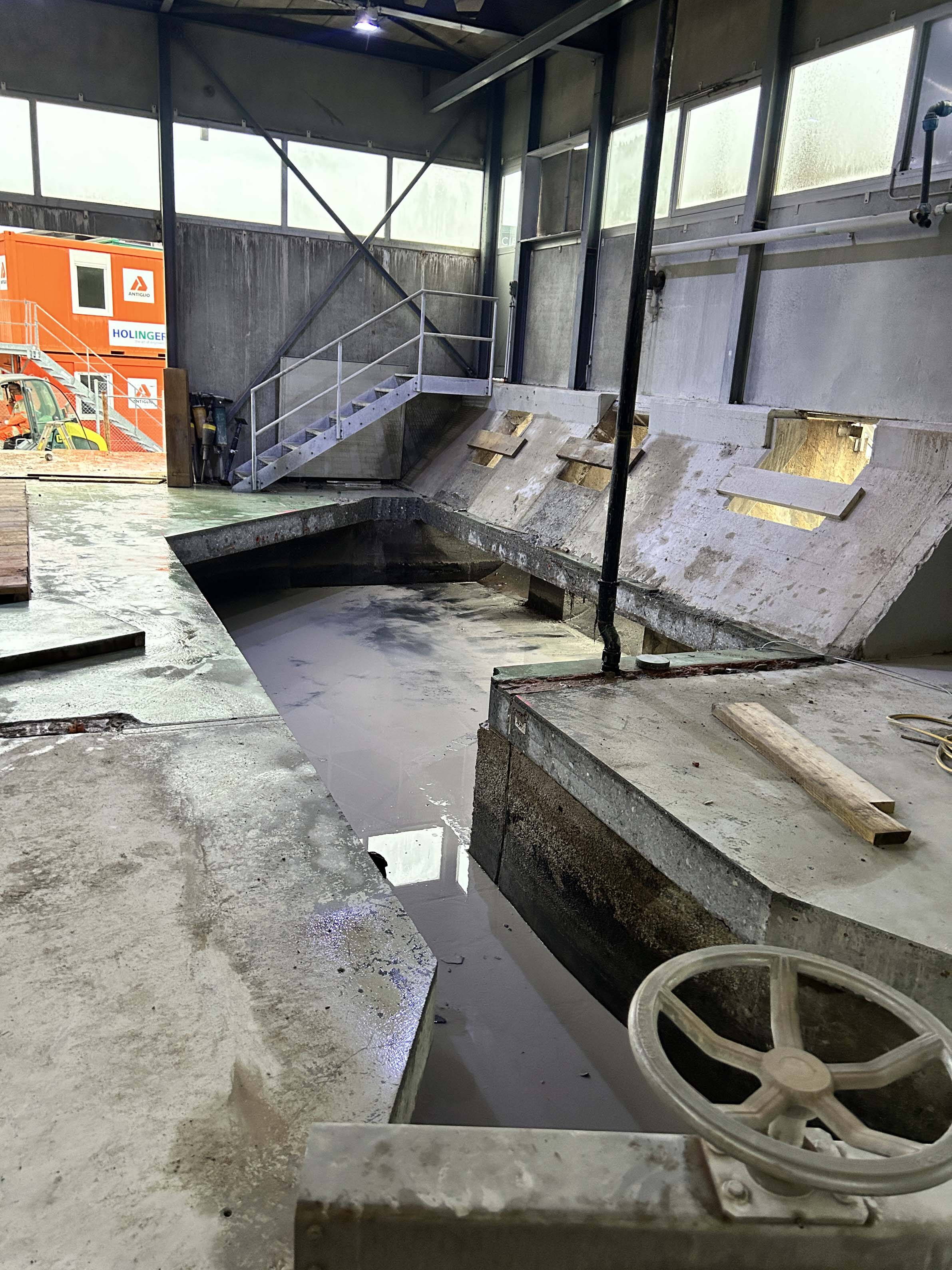 Zoom: 16_ara_seeland_fraebag_bern_neu.jpg