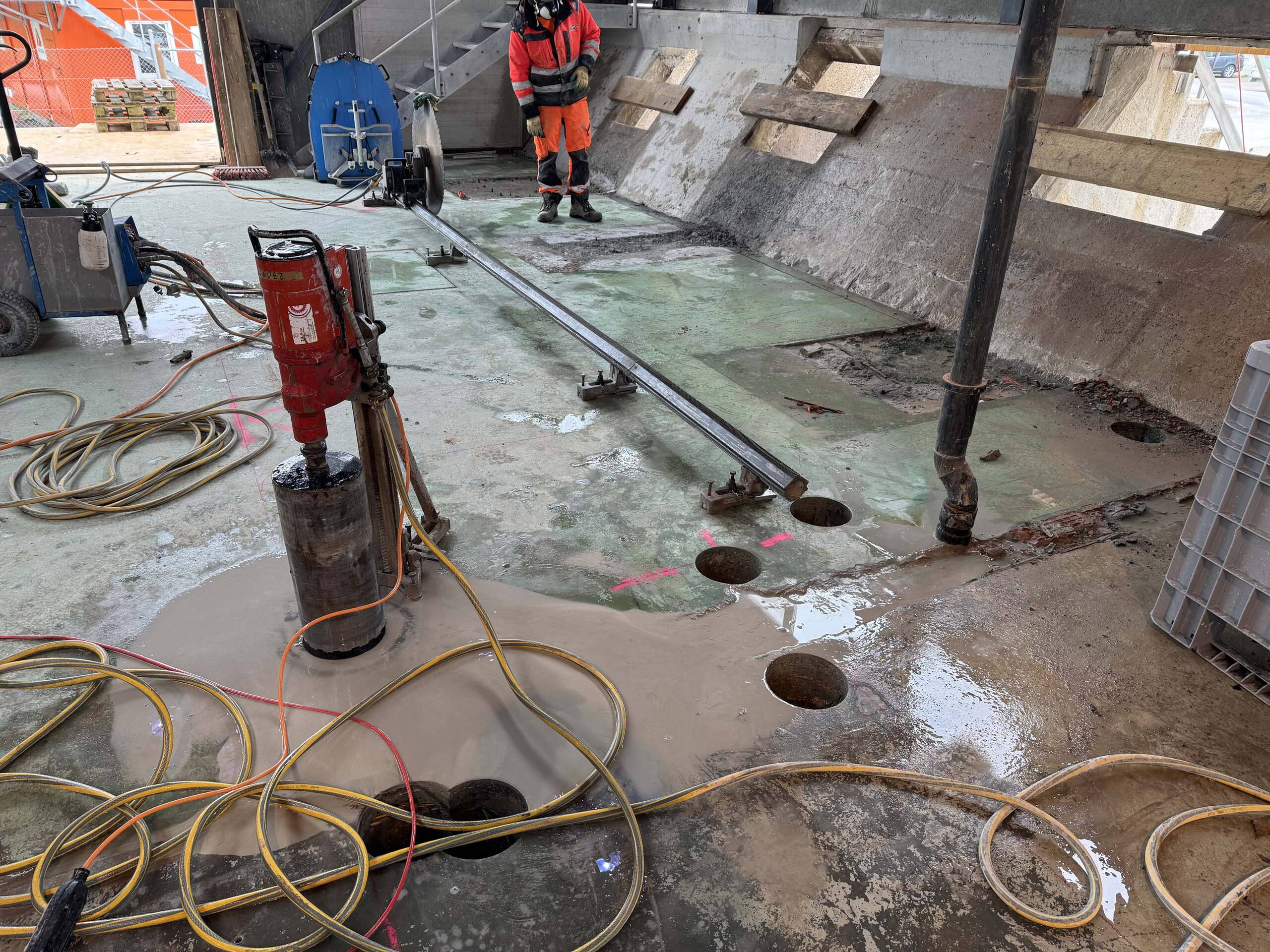 Zoom: 05_ara_seeland_fraebag_bern.jpg